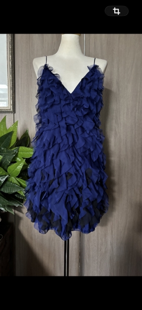 Alberta Ferreti ruffle dress 